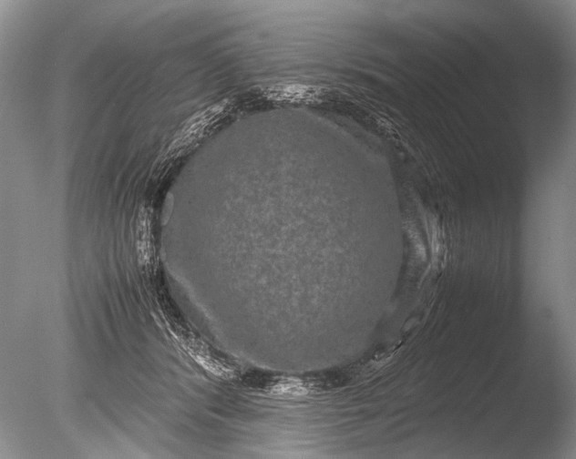 X0000085810416200703301530