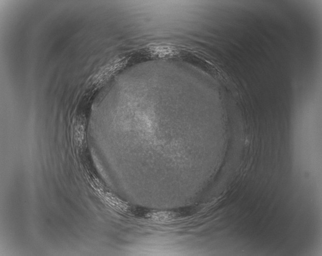 X0000085810417200703301530