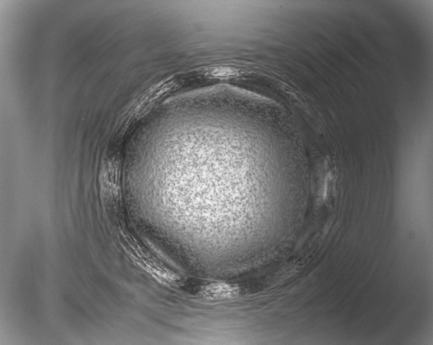 X0000085810421200703301530