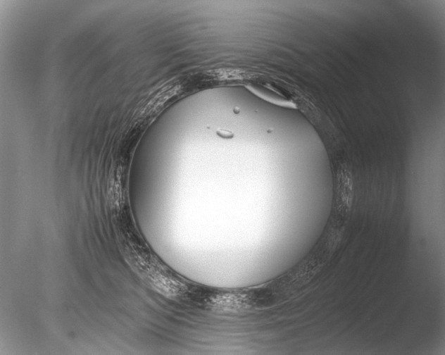 X0000085810422200703301530