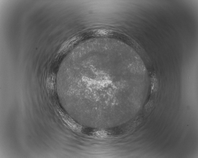 X0000085810423200703301530