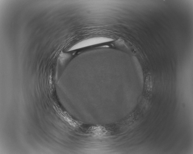 X0000085810424200703301530