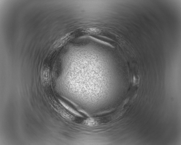 X0000085810425200703301530