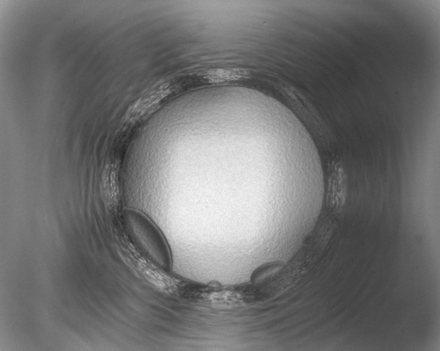 X0000085810426200703301530