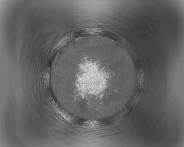 X0000085810427200703301530