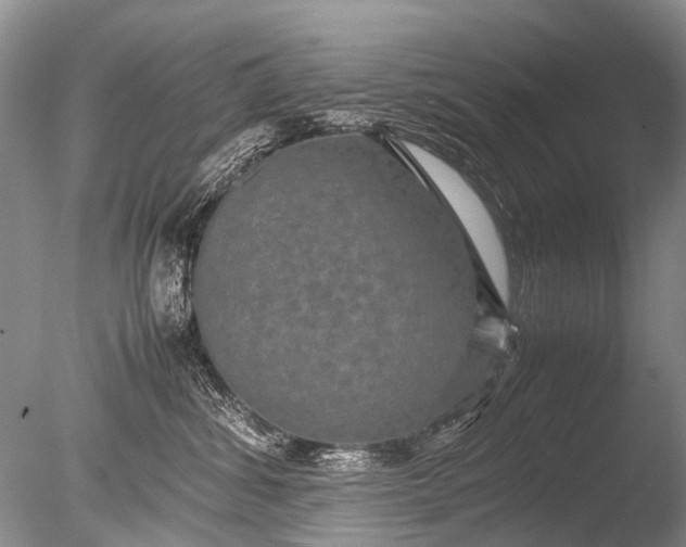 X0000085810428200703301530