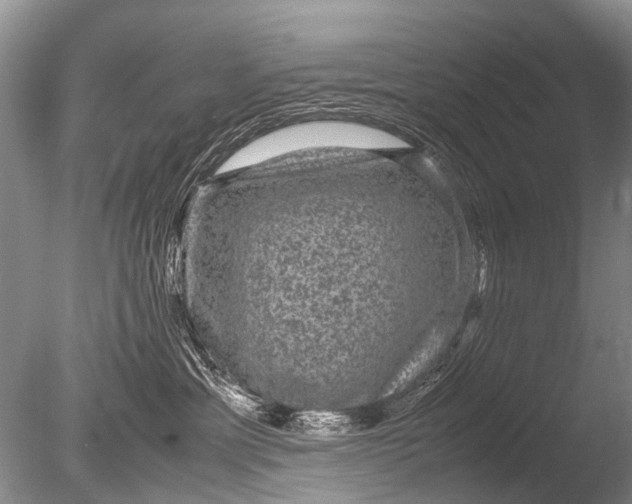 X0000085810429200703301530