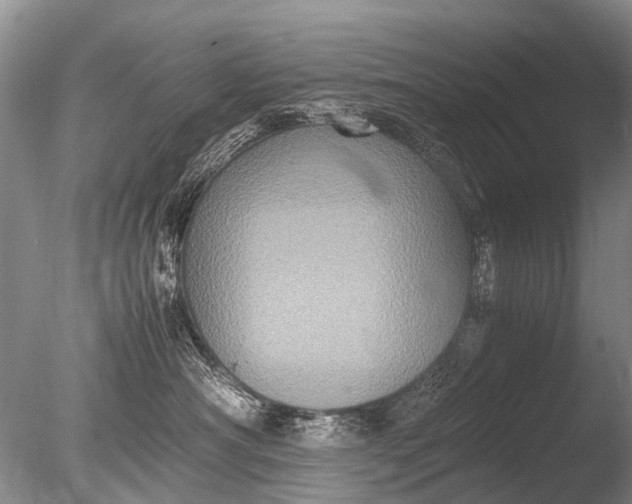 X0000085810430200703301530