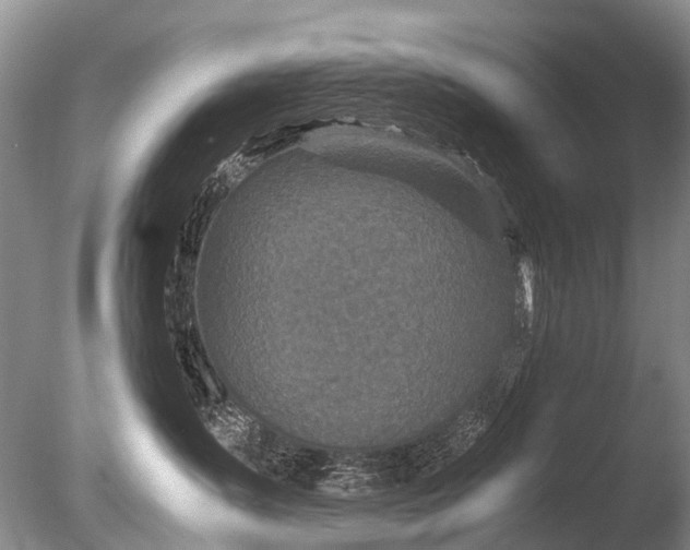 X0000085810431200703301530