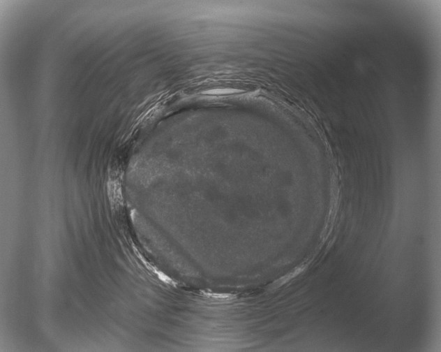 X0000085810432200703301530