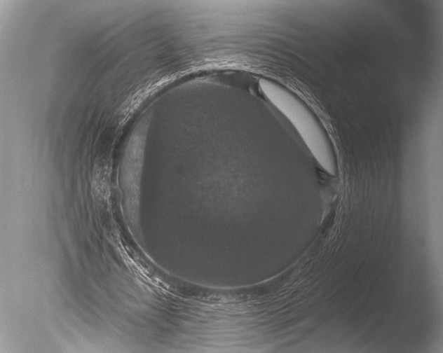 X0000085810434200703301529