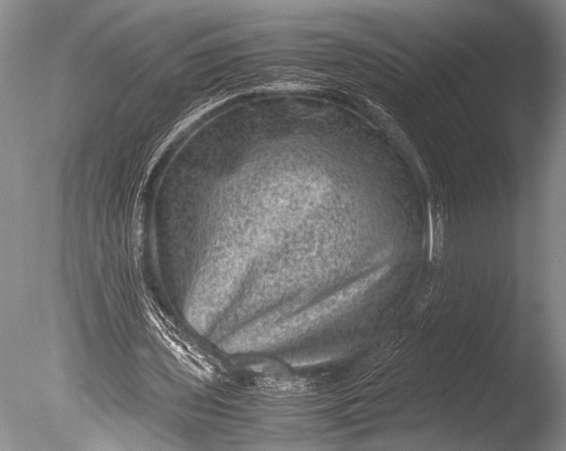 X0000085810435200703301529