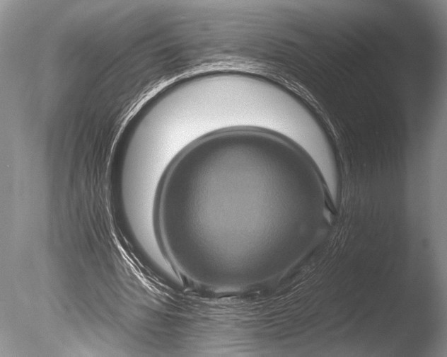 X0000085810436200703301529