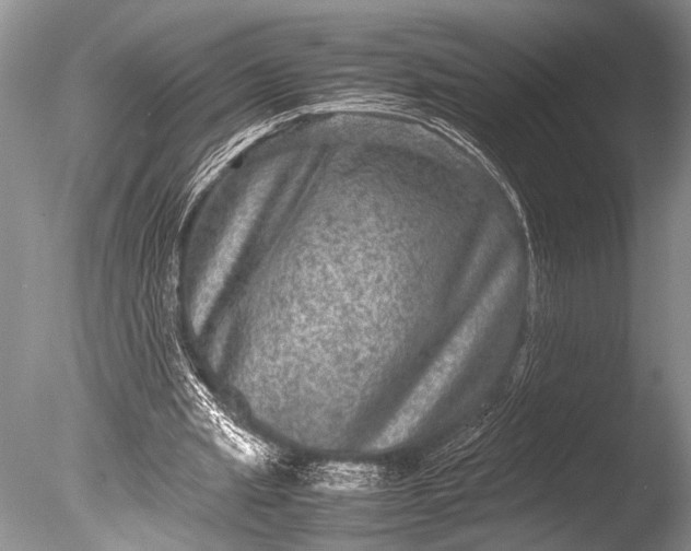 X0000085810437200703301529