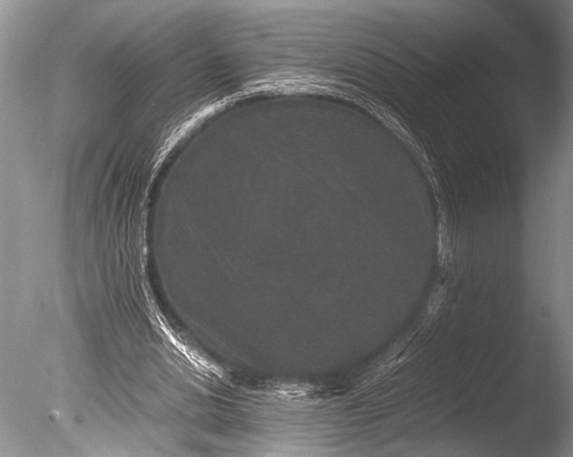 X0000085810438200703301529