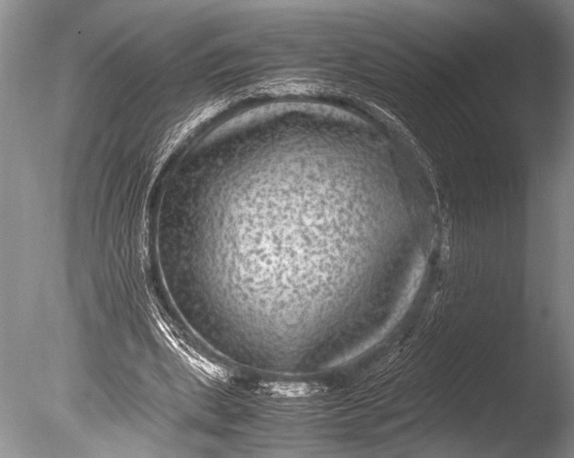 X0000085810439200703301529