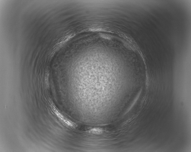 X0000085810441200703301529