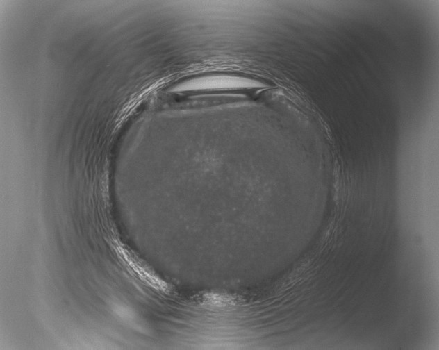 X0000085810442200703301529