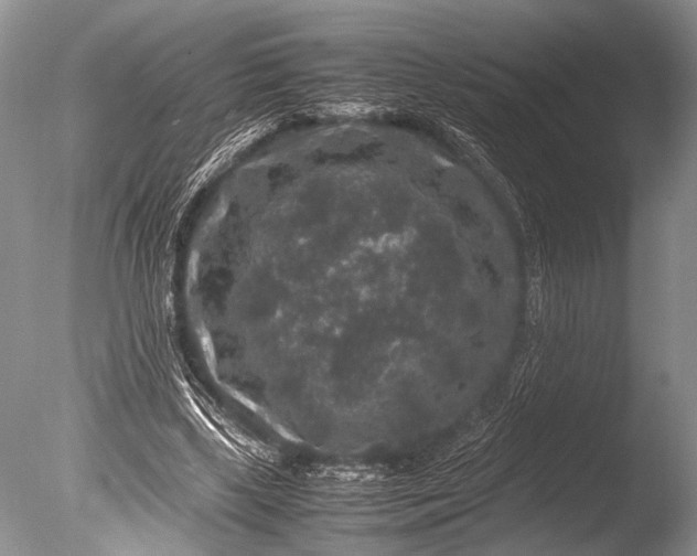 X0000085810443200703301529