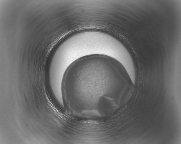 X0000085810444200703301529