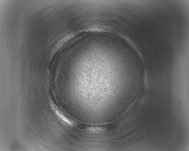 X0000085810445200703301529