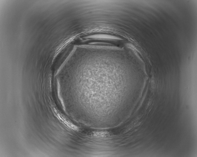 X0000085810446200703301529