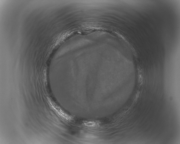 X0000085810447200703301529