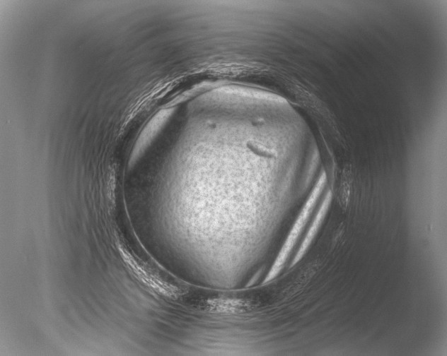 X0000085810448200703301529