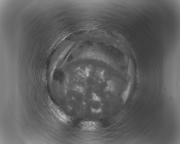 X0000085810449200703301529