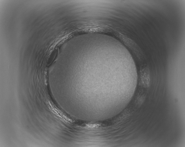 X0000085810450200703301529