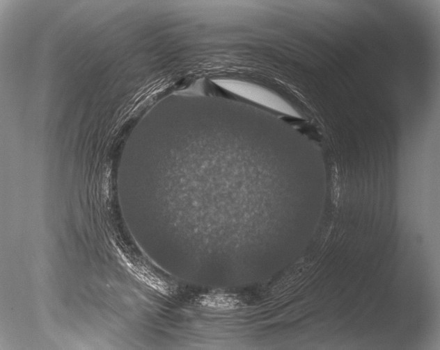 X0000085810451200703301529