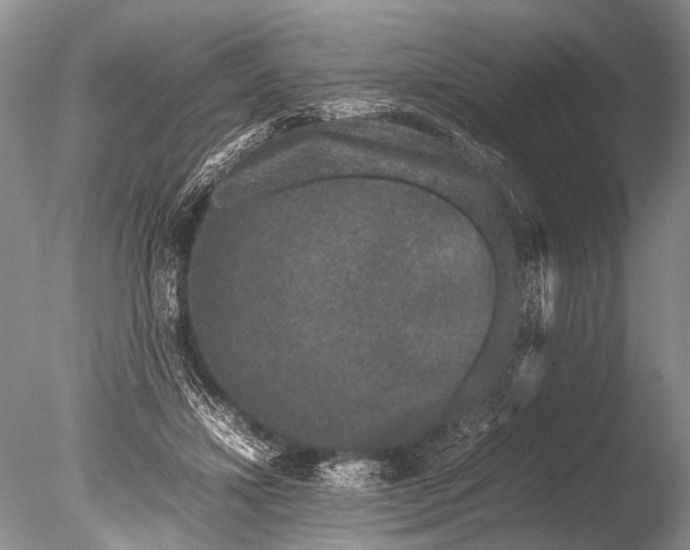 X0000085810452200703301529