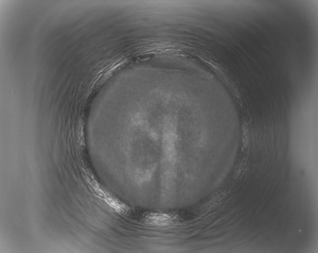 X0000085810453200703301529