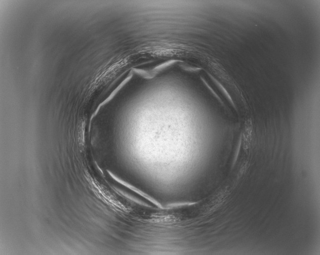 X0000085810454200703301530