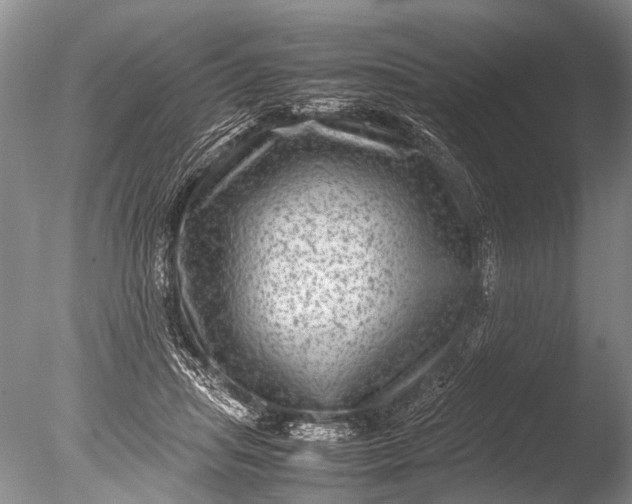 X0000085810455200703301530