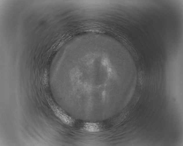 X0000085810457200703301530