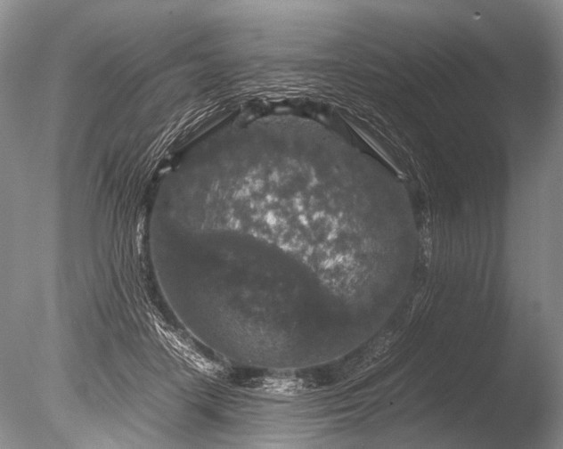 X0000085810458200703301530