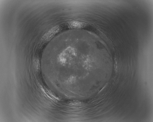 X0000085810459200703301530