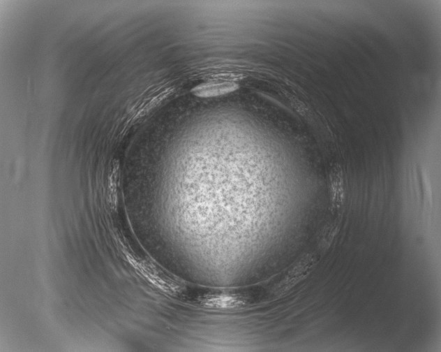 X0000085810460200703301530