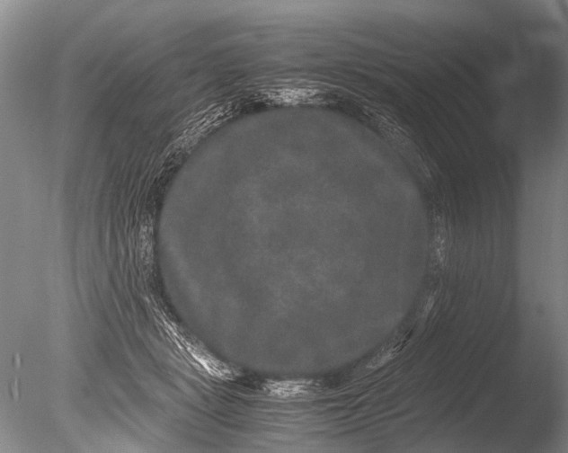 X0000085810461200703301530