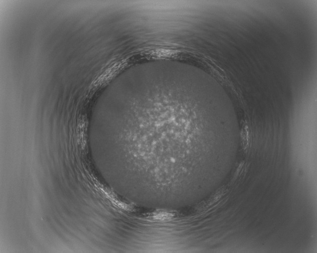 X0000085810462200703301530