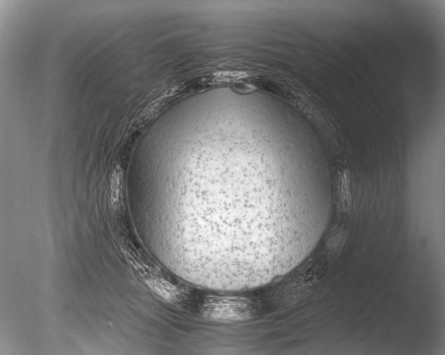 X0000085810463200703301530