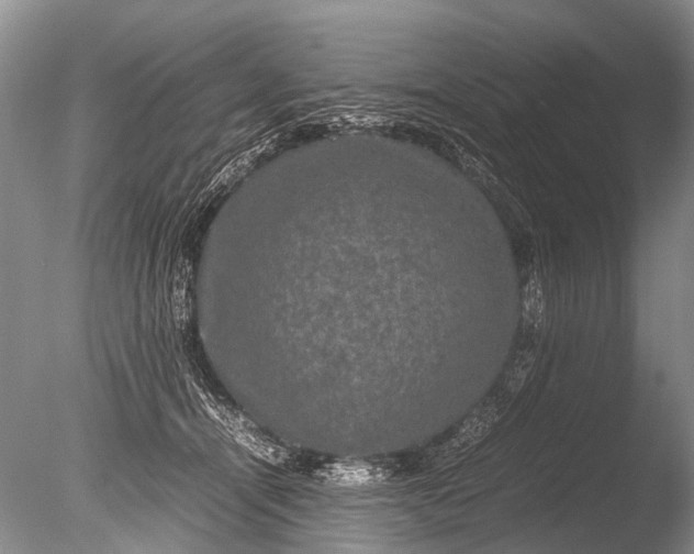 X0000085810464200703301530