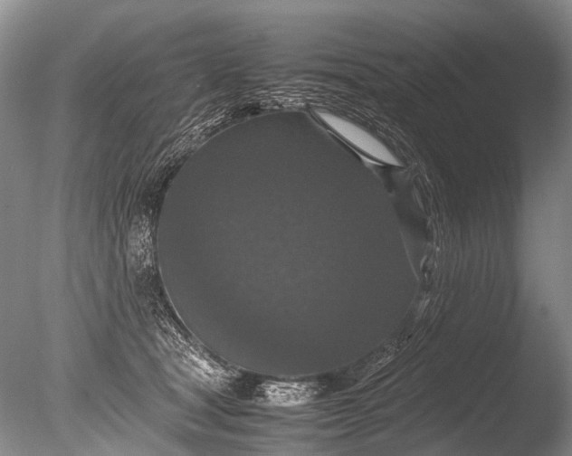 X0000085810465200703301530