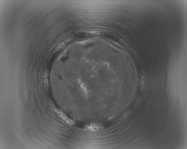 X0000085810466200703301530