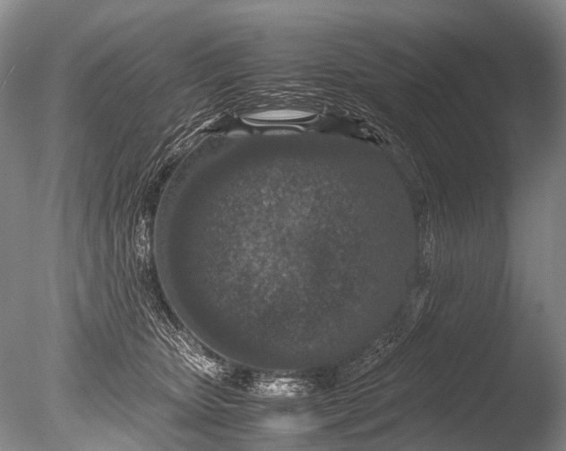 X0000085810467200703301530