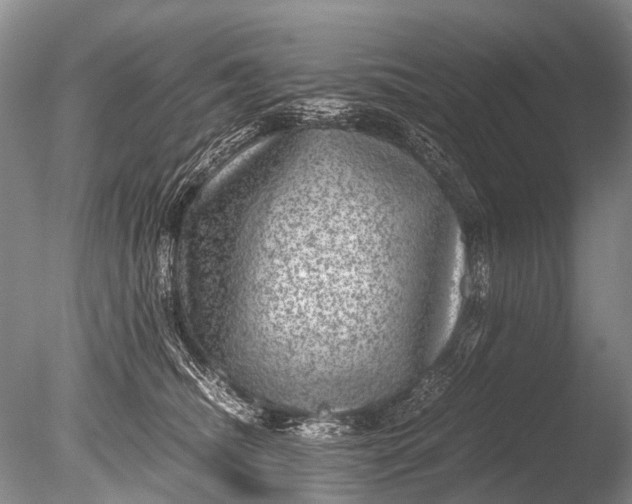 X0000085810468200703301530