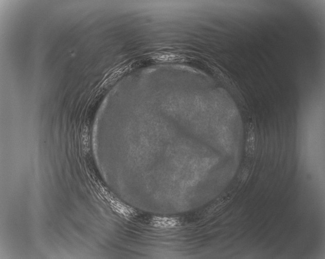 X0000085810469200703301530