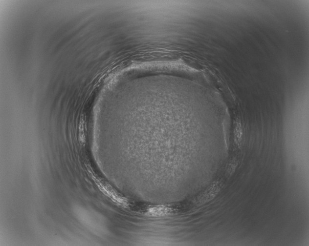 X0000085810470200703301530