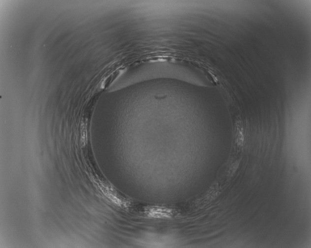 X0000085810471200703301530